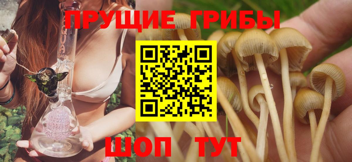 Лесной  Галлюциногенные грибы Psilocybine cubensis  Вход с VPN 
